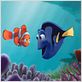 Buscando a Nemo : foto