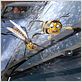 Bee Movie : foto Simon J. Smith, Steve Hickner
