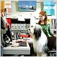 Cariño, estoy hecho un perro : foto Brian Robbins, Kristin Davis, Spencer Breslin, Zena Grey