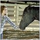 Flicka : foto Alison Lohman, Michael Mayer