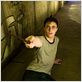 Harry Potter y la Orden del Fénix : foto Daniel Radcliffe, David Yates