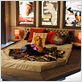 Perro al rescate : foto Todd Holland