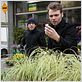 Fringe (Al límite) : foto Kirk Acevedo, Seth Gabel