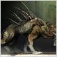 Predators : foto