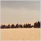 Oro negro : foto Jean-Jacques Annaud