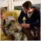 El castor (The Beaver) : foto Anton Yelchin, Jodie Foster, Riley Thomas Stewart