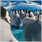 Happy Feet 2 : foto George Miller