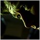 Trance : Foto James McAvoy