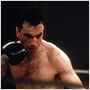 The Boxer