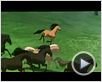 Spirit: El corcel indomable Tráiler Spirit: El corcel indomable Tráiler