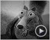Ice Age 4: La formación de los continentes Clip Ice Age 4: La formación de los continentes Clip