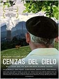Cenizas del cielo