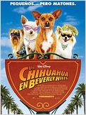 Un chihuahua en Beverly Hills