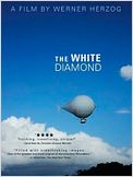 The White Diamond