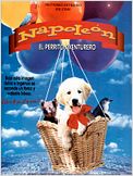Napoleón, el perrito aventurero