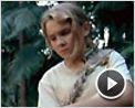 La isla de Nim Clip (2)