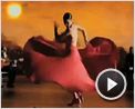 Flamenco, Flamenco Tráiler