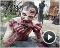The Walking Dead - season 2 - episode 1 Tráiler (3)