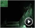 The Walking Dead Teaser VO