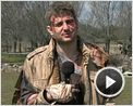 Entrevista 1 - Español