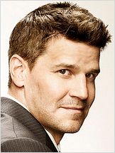David Boreanaz