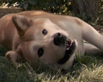 Extracto V Deo De La Pel Cula Siempre A Tu Lado Hachiko Siempre A Tu