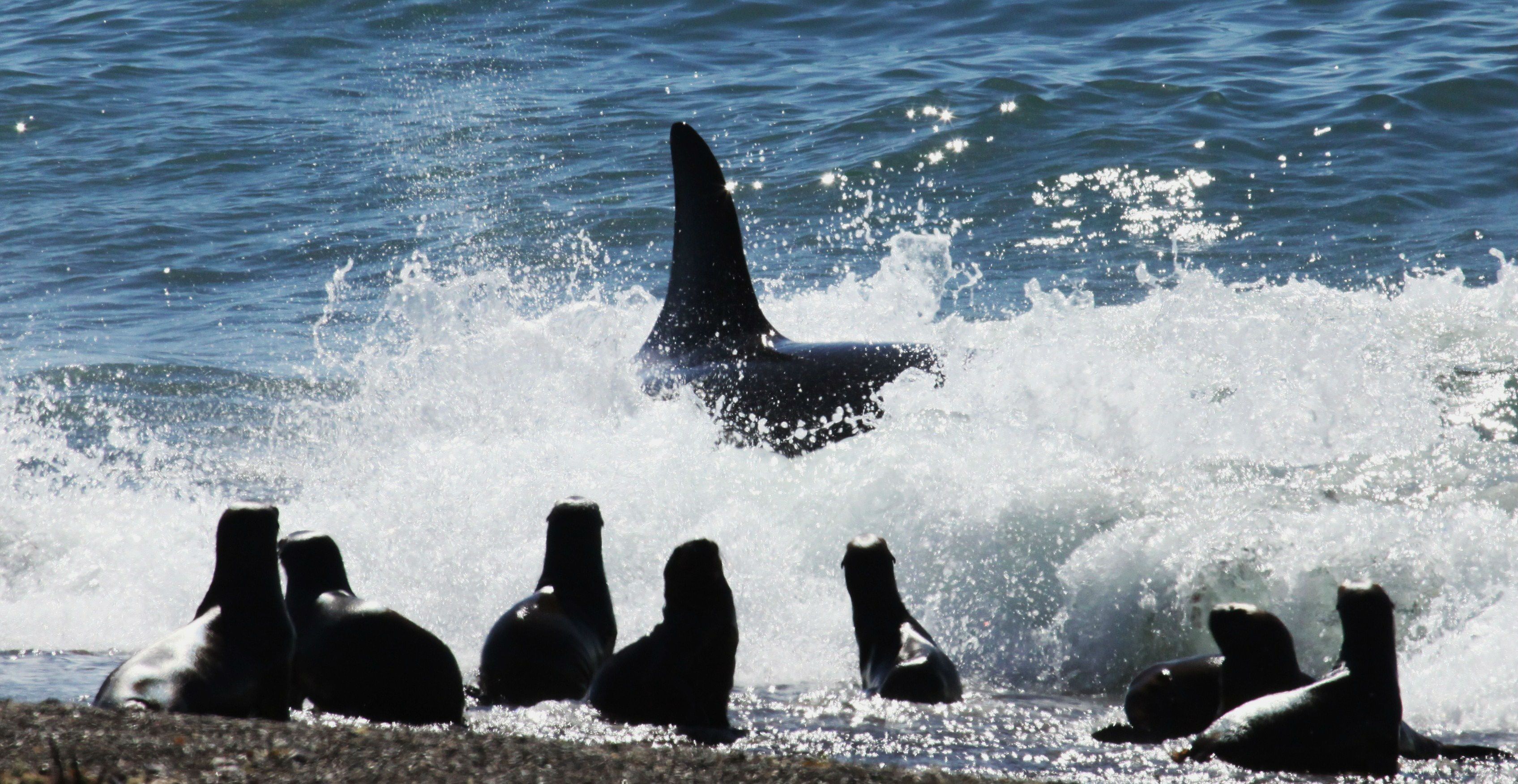 Foto de El faro de las