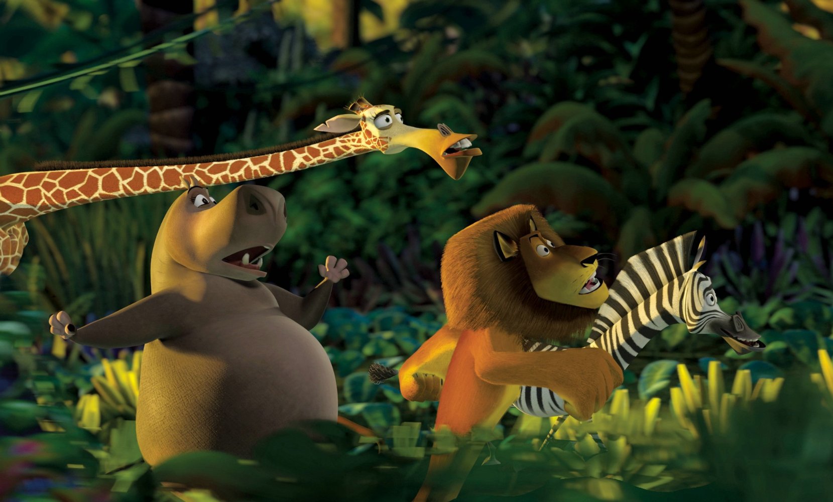 Madagascar 2 Wallpapers (81+ pictures)