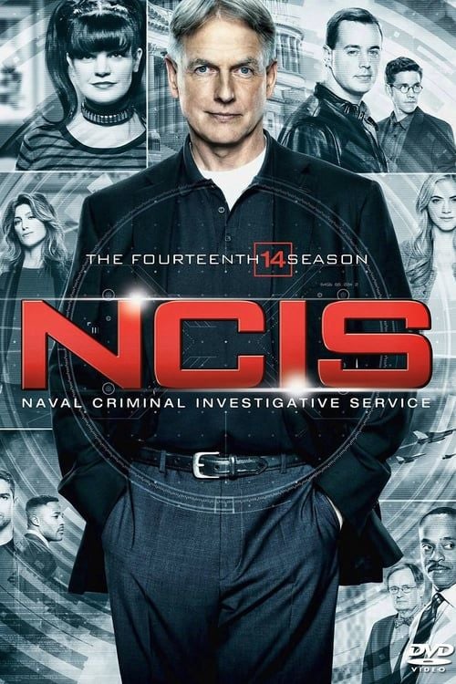 Navy Investigación Criminal Temporada 19 Reparto