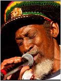 Neville Bunny Wailer Livingston