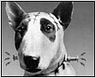 Tim Burton llevará al cine 'Frankenweenie'