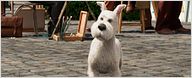 Las mejores mascotas del 2011