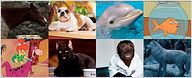 Nuestras mascotas favoritas de series de televisión