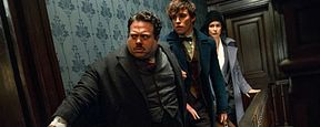'Animales fantásticos y dónde encontrarlos': Newt Scamander y sus aliados protagonizan el nuevo póster 'Animales fantásticos y dónde encontrarlos': Newt Scamander y sus aliados protagonizan el nuevo póster
