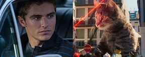 'La Lego Ninjago Película': Dave Franco admite que participa en la cinta debido a su amor por los gatos 'La Lego Ninjago Película': Dave Franco admite que participa en la cinta debido a su amor por los gatos