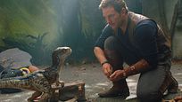 'Jurassic World: Dominion' es la "culminación" de la franquicia, según su director 'Jurassic World: Dominion' es la "culminación" de la franquicia, según su director