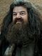 Robbie Coltrane