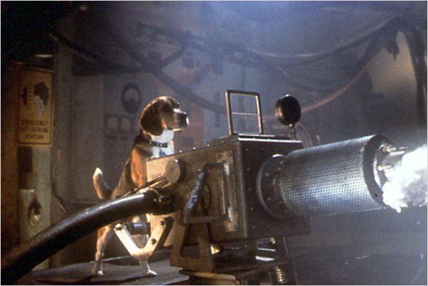 Como perros y gatos : Foto Lawrence Guterman
