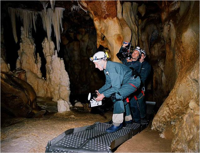 La cueva de los sueños olvidados : foto