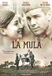 Foto : La mula