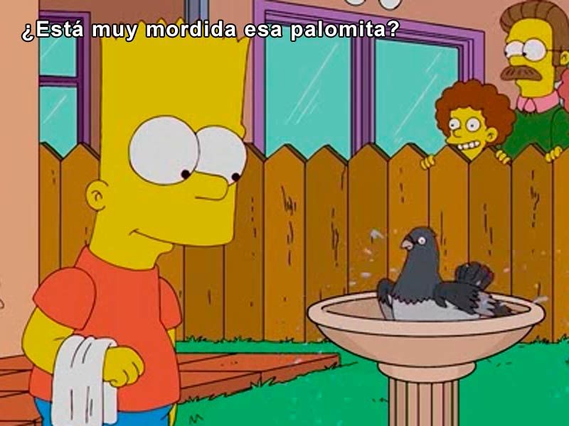 ¿Está muy mordida esa palomita?