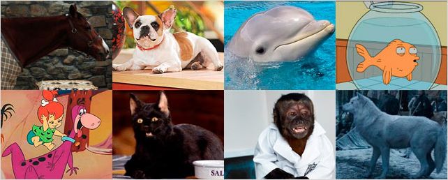 Nuestras mascotas favoritas de series de televisión