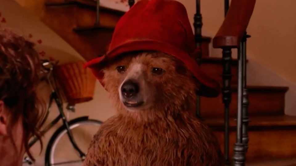 Paddington Pelicula 2014 Sensacine Com