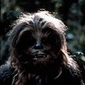Foto Peter Mayhew