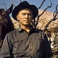 Foto Yul Brynner
