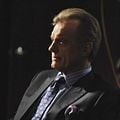 Foto Stephen Collins