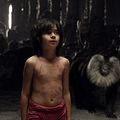 Foto Neel Sethi