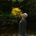 Foto Andy Goldsworthy