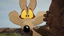 Coyote vs. ACME