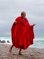 Cartel de El caminante